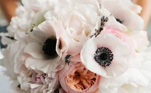 农历二〇二九年正月十七黄历不适宜完婚吗,结婚好日子有哪些