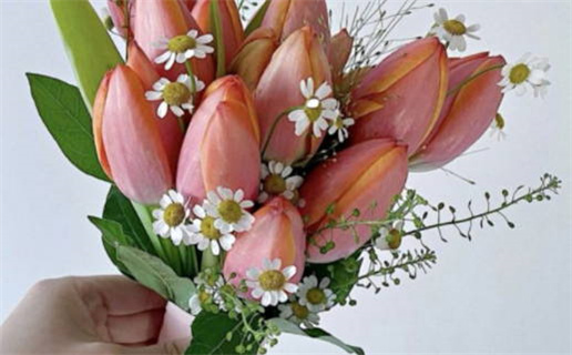 农历二〇二八年十月廿三黄历迎亲不适合吗,结婚吉日查询