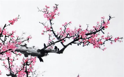 2030年01月30日不推荐婚姻登记吗,这天领证合适吗