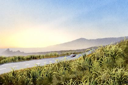 2028年05月08日提车黄历查询