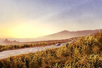 2028年11月03日老黄历适合提取新车吗