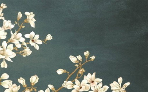 2026年11月05日不推荐房屋装修吗,装修吉日查询